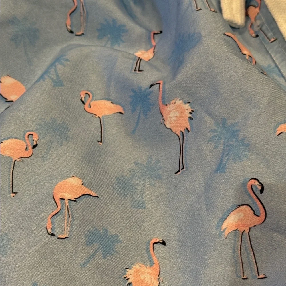 Blue Flamingo Print Swim Trunks with Pink Liner